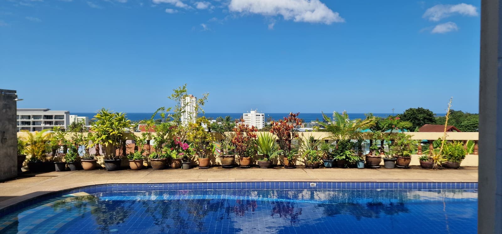 Swimming pool lined with potted plants and a sea view beyond
