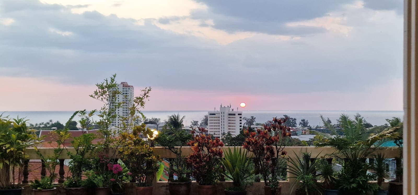 Balcony flowers and rooftops with the sun low over the water